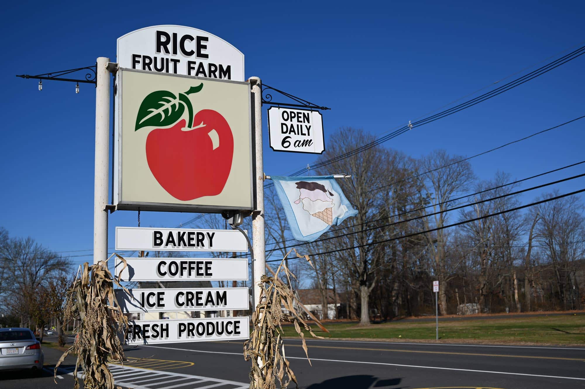 Rice Fruit Farm Street Sign